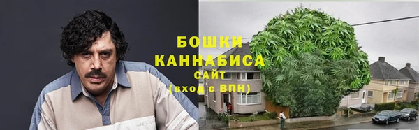 ГАЛЛЮЦИНОГЕННЫЕ ГРИБЫ Аркадак