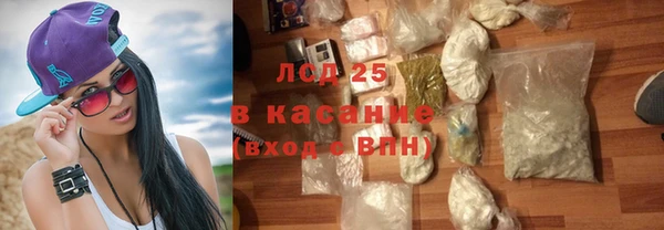 ГАЛЛЮЦИНОГЕННЫЕ ГРИБЫ Аркадак
