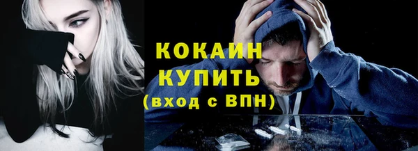 ГАЛЛЮЦИНОГЕННЫЕ ГРИБЫ Аркадак