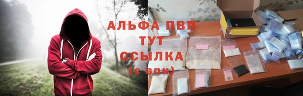 ГАЛЛЮЦИНОГЕННЫЕ ГРИБЫ Аркадак