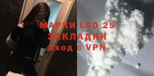 ГАЛЛЮЦИНОГЕННЫЕ ГРИБЫ Аркадак
